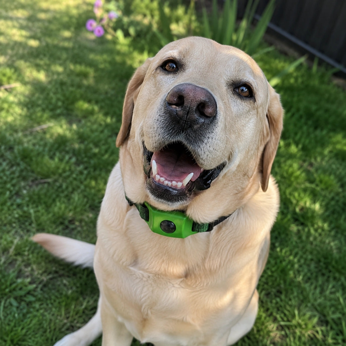 Avant Après